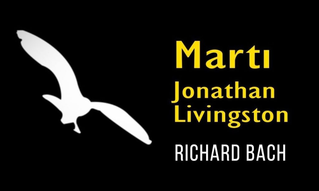 Belki De Sıra&nbsp;Sizdedir